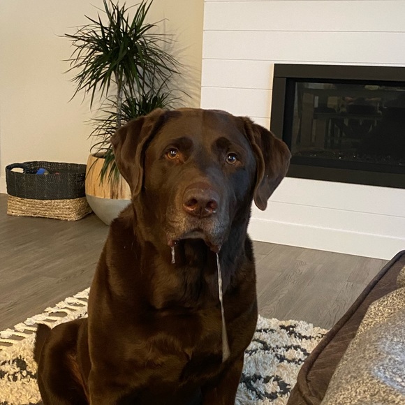 Meet your Posher, Jeremy - Picture 1 of 1